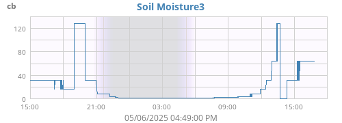 daymoistsoil